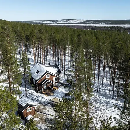 Northern Highlight By Hilla